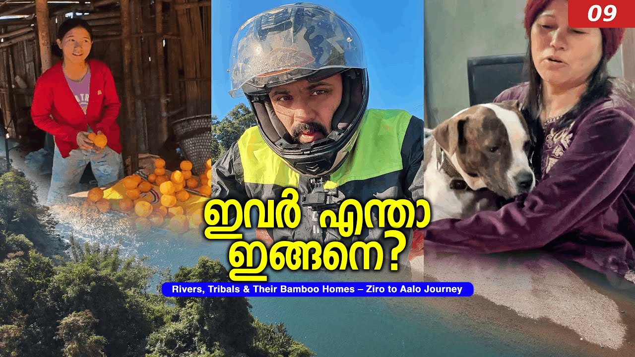ഇങ്ങനെയൊക്കെ ചെയ്യാമോ? | The Sad Truth Behind Arunachal | Ziro to Aalo | E9 | TinPin Stories