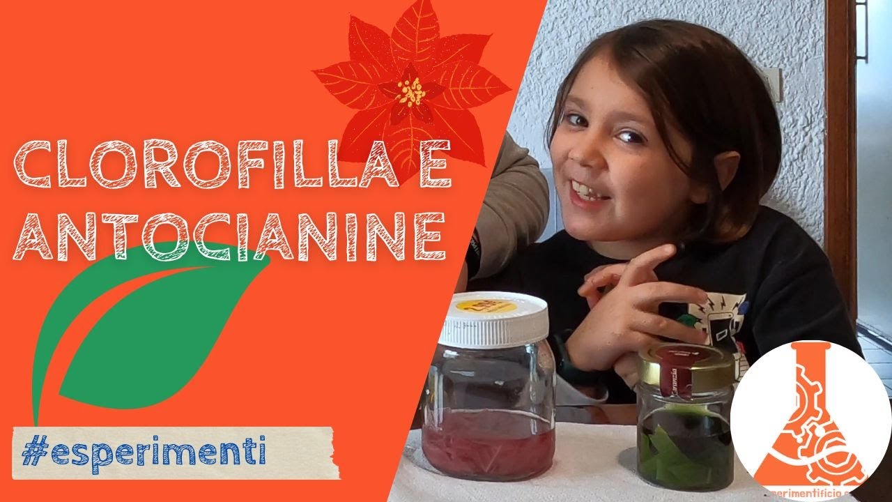 Scopriamo i colori delle piante: verde clorofilla e rosso antocianina