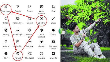 Snapseed Grey And Green Tone One Click Photo Editing | Snapseed New Trick Photo Editing 2026