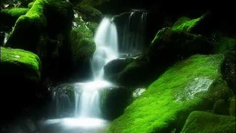 انصت للتلاوة الرائعة الشيخ خالد الجليل (سورة عبس)