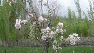 Eie Ada Xano Naso.wmv Resimi