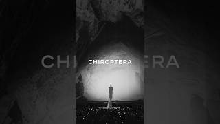“Chiroptera”, the collaborative project between the Paris Opera, JR and 19M.