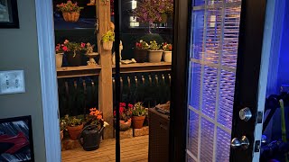 Plants & flowers by my bedroom door to the deck.