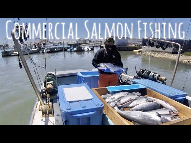 SALMON FISHING on an 84 YEAR-OLD COMMERCIAL FISHING BOAT! 