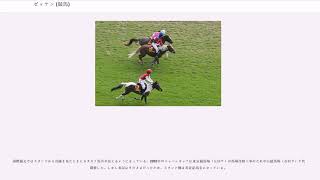 ゼッケン (競馬)