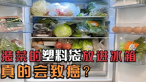 裝菜的塑料袋放進冰箱，真的會致癌嗎？央視實驗揭曉答案 - 天天要聞