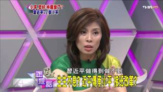 麗文正經話_20140827_290_4(TVBS DMDD)