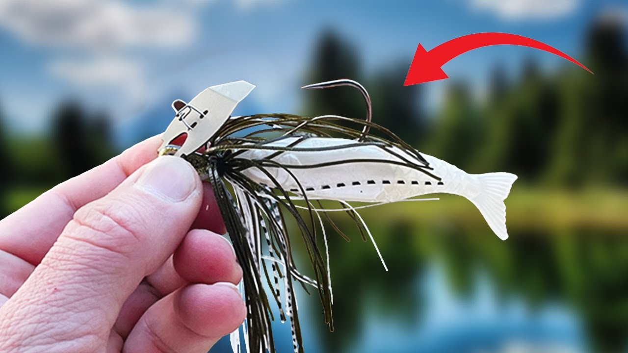 Best Way To Catch Big Spawning Bass From The Bank!!!! Bass Manager