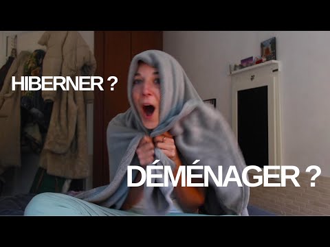 SURVIVRE A L'HIVER I Joie de vivre