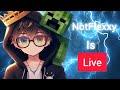 Playing minecraft with viewers | Minecraft Smp | NotFlexxy is live!