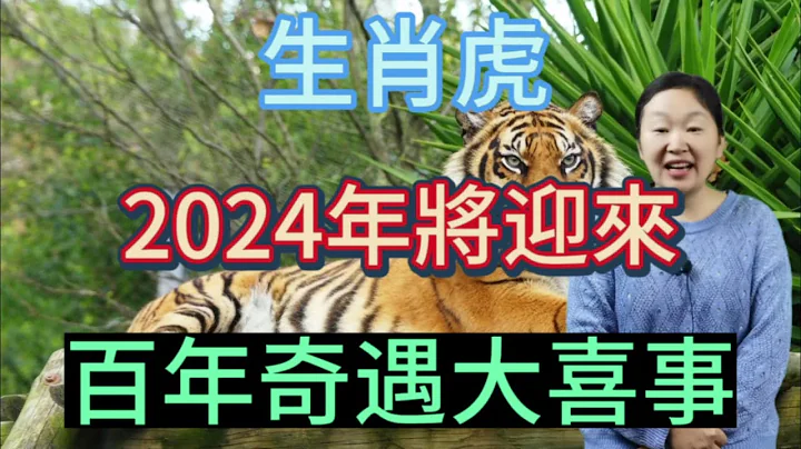 生肖虎！2024年将迎来百年奇遇的大喜事！家里有属虎的快来接大喜！接住好运连连！财源滚滚来！ - 天天要闻