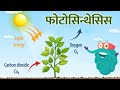 फोटोसिन्थेसिस | प्रकाश संश्लेषण | Photosynthesis In Hindi | Dr.Binocs Show | Binocs Ki Duniya