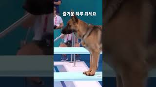 처음 보았습니다.오 대단합니다.영리한데요#파타야여행 #한달살기 #노후인생 #한태커플