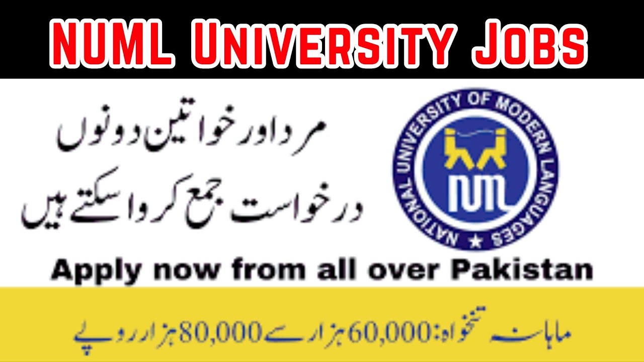 200+ NUML University Jobs - Today Job