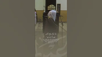 تلاوة من سورة آل عمران القارئ ياسر الدوسري 
