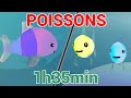 Les Petits Poissons dans l