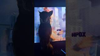 He really thinks he’s an Avenger. 🦸‍♂️💀