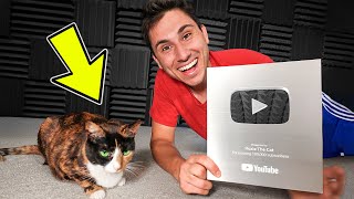 My Cat Got 100K Subscribers On Youtube
