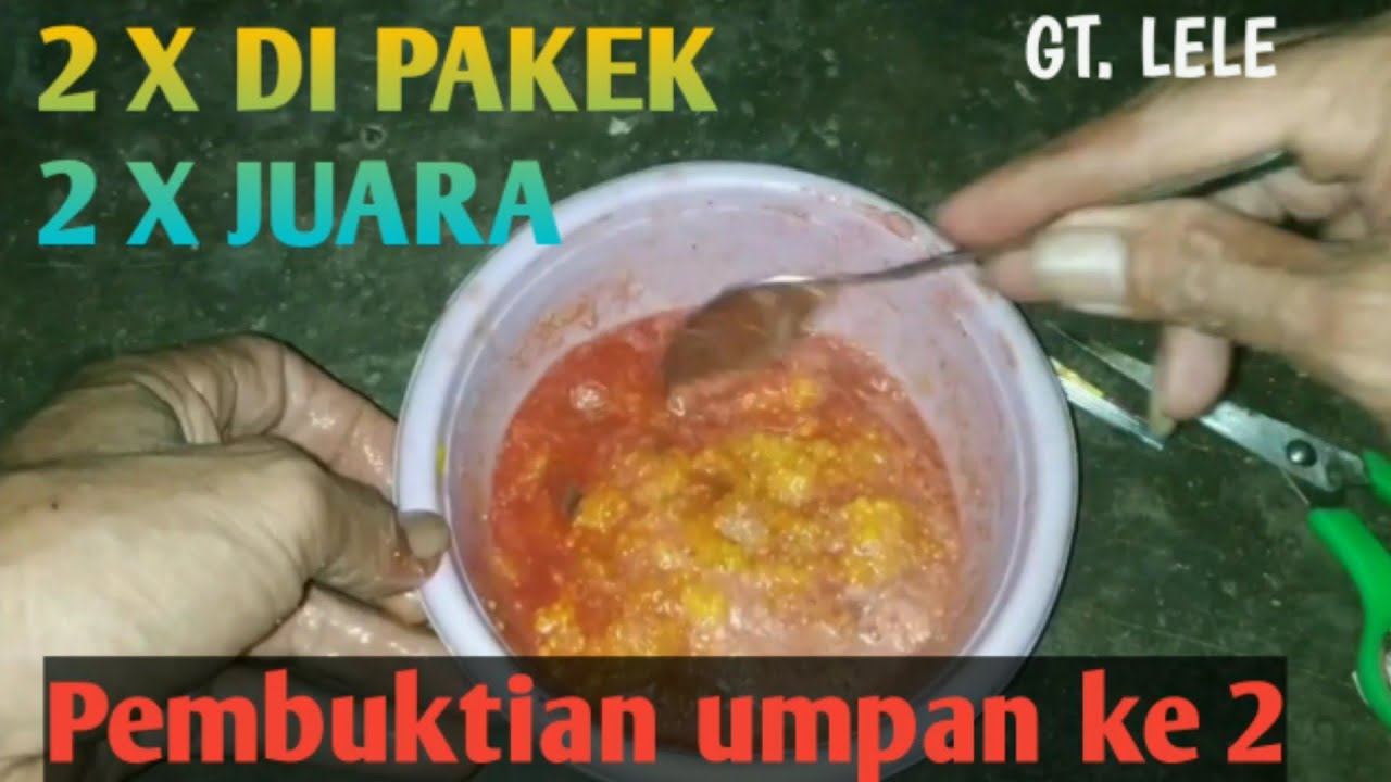 🇮🇩MASIH DI JALUR AMPLOP‼️TELOR IKAN SAPU-SAPU‼️UMPAN SEGALA MEDAN