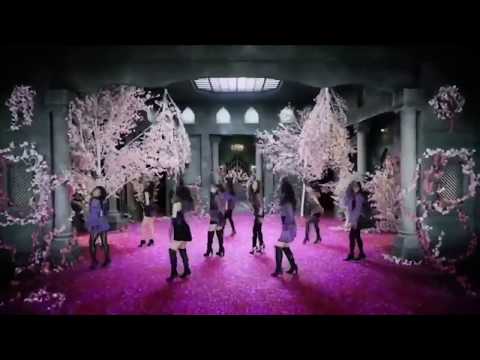 Flowerの軌跡