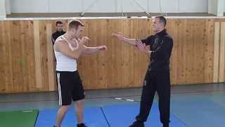 Wing Chun vs MMA screenshot 2