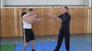 Wing Chun vs MMA