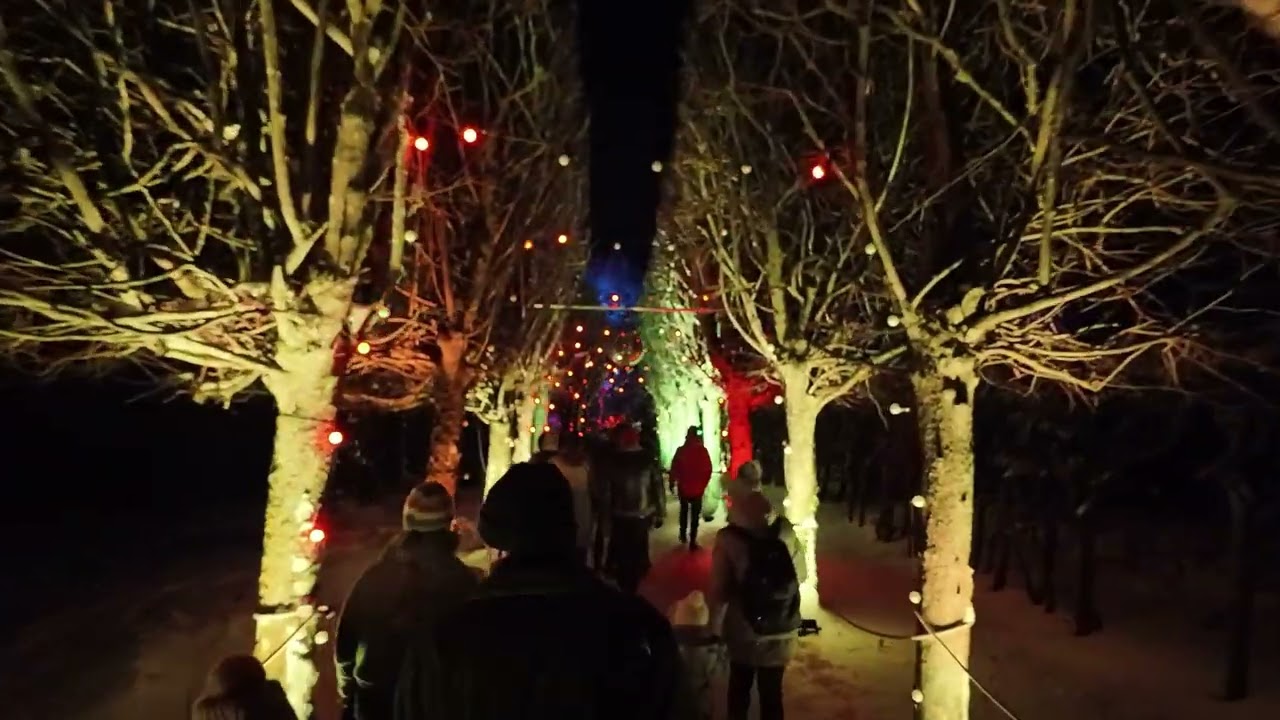 Egeskov 2026  - LUMINIS