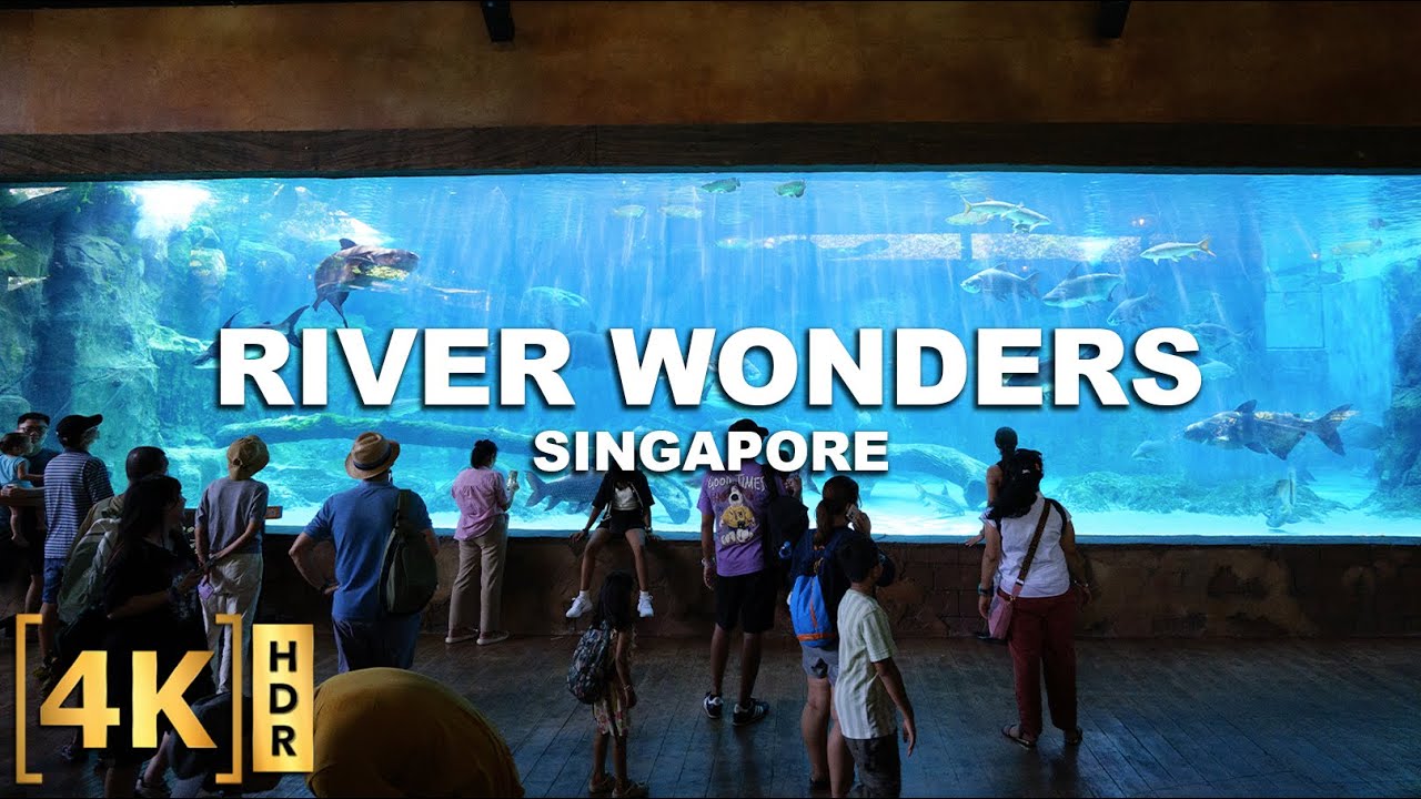 Full Tour at RIVER WONDERS - The World's LARGEST Freshwater Aquarium | Singapore 2025 | Walking Tour