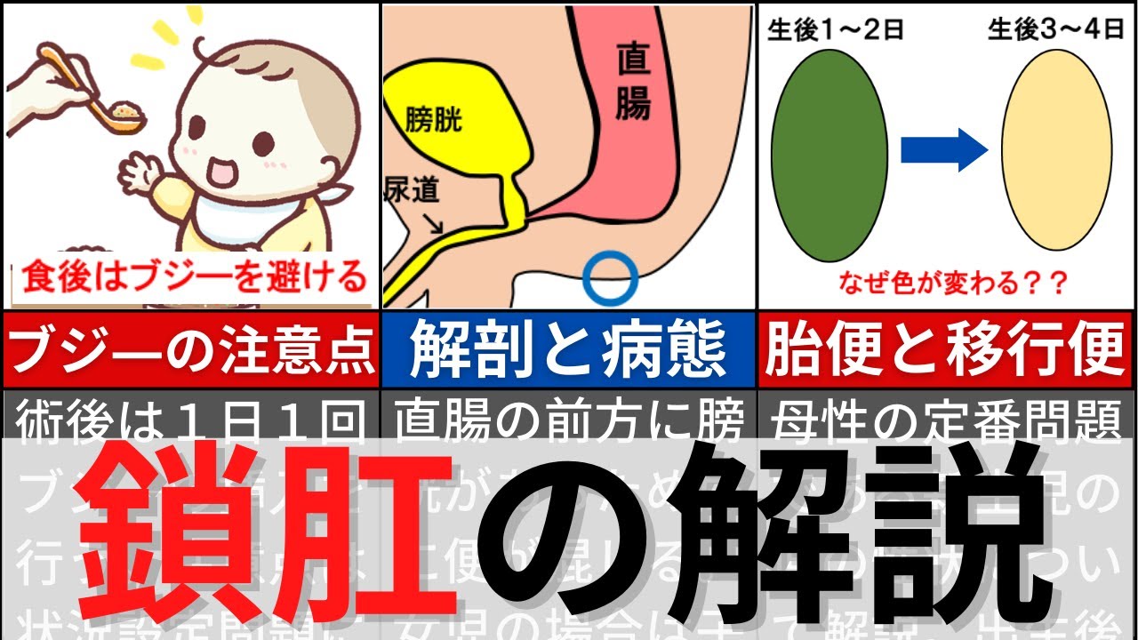 【7分で解説、13分で国試問題】鎖肛の解説