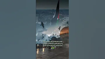 يا اهل غزة كبروا و اهل سوريا كمان كبروا تابعوني سوريا حرة فلسطين حرة غزة 