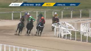 Vidéo de la course PMU PREMIO SAO CONRADO