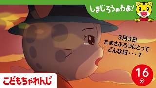 【16分アニメ】あしたは なんのひ?│ひな祭り│誕生日│友情│しまじろうのわお!アニメ│しまじろうチャンネル公式