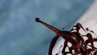 Persol: Calligrapher