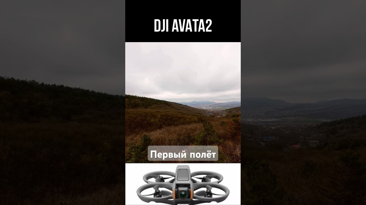 dji AVATA 2/ первый полёт/ d-log m 10bit/gyroflow 