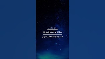 تلاوة تقشعر لها الأبدان من اواخر سورة الواقعة | الشيخ ابو حذيفة ابو ناموس