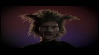 Family channel wolf ident