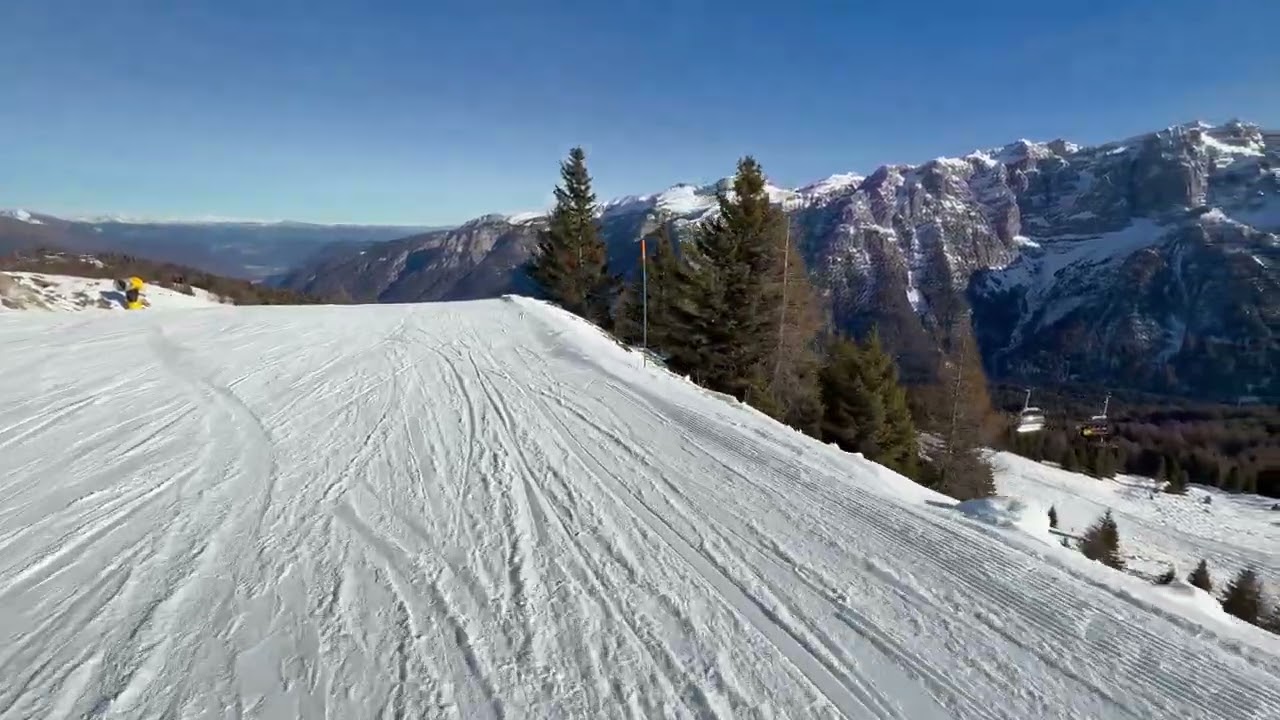 I Went Skiing… Ended Up Tree Watching 🌲 | Val di Sole, Italy 2025.