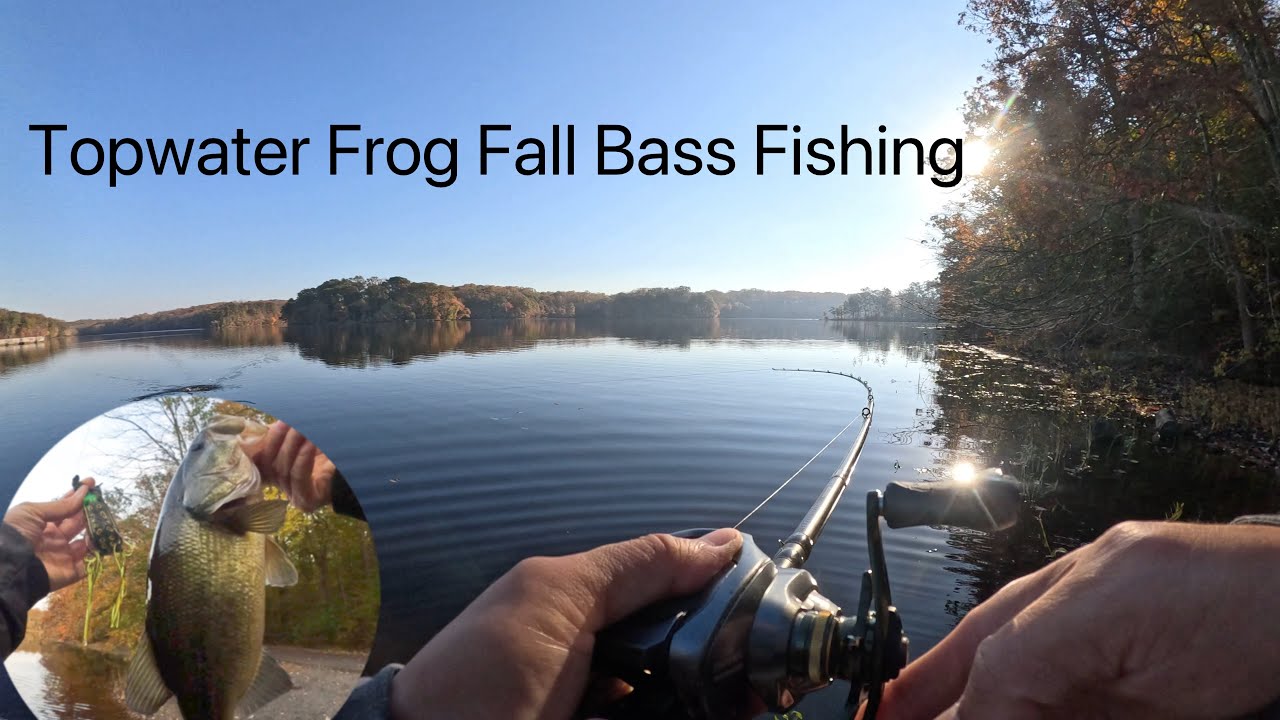 Topwater Frog Fall Bass Fishing
