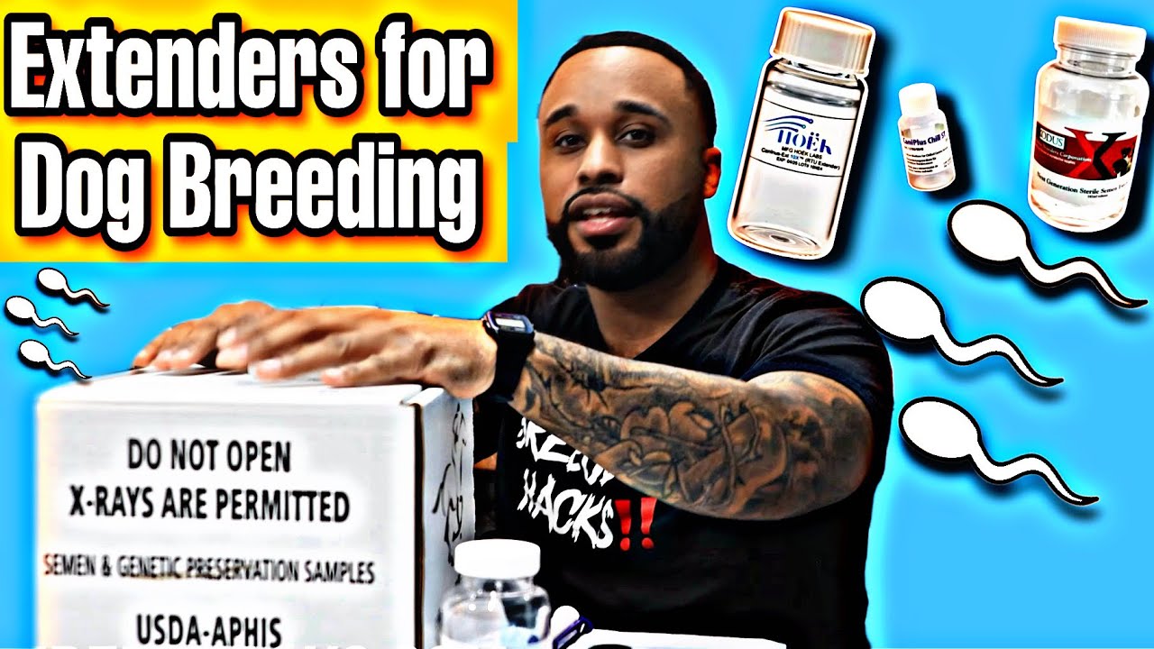 Understanding Extenders for dog breeding!