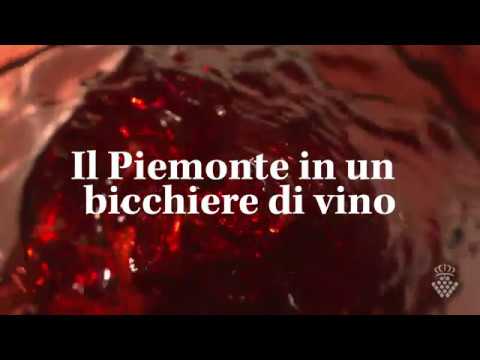 Vendemmia a Torino 2019