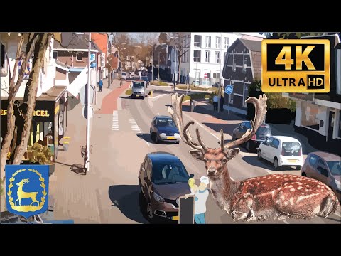 LIVE WEBCAM | HOOFDSTRAAT - EPE [4K]