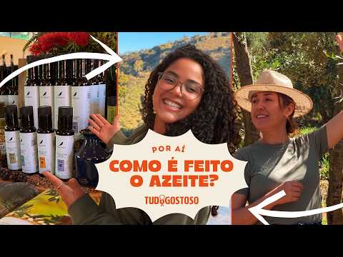 How Is Olive Oil Made? Tour of Fazenda Sabiá!