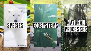 Nature Positive: how to measure the indicators of a nature-positive world @WWF