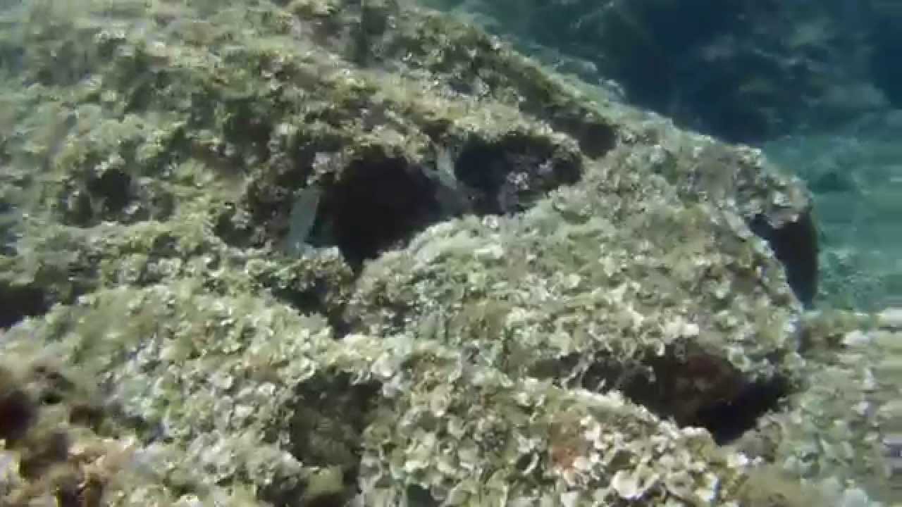 Snorkeling In Port Cros France 07 12 Gopro Hd Hero Youtube