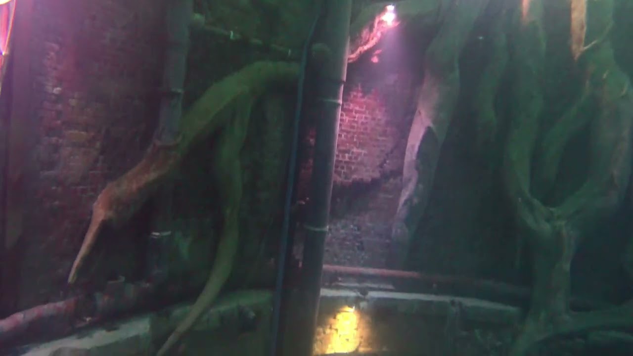 Bubble ring and abyss