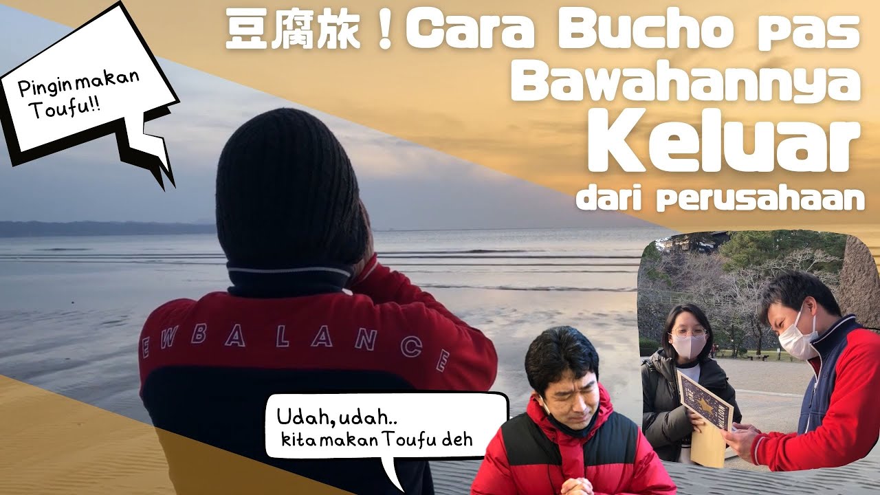 Cara Bucho Pas Bawahannya Keluar | Majimaji TV