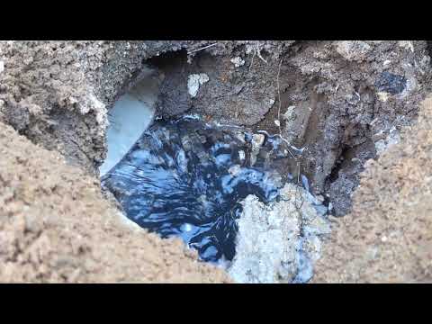 septic tank water level high due to the rain!