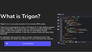 GETTING TRIGON EVO  EXECUTOR TUTORIAL