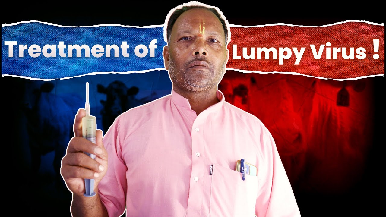 लम्पी वायरस: बिहार के पशुधन के लिए गंभीर खतरा |लम्पी वायरस  का इलाज ठीक कैसे होता है