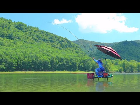 Video CÂU CÁ TỰ NHIÊN: Ngồi Giữa Hồ Câu Cá - youtube